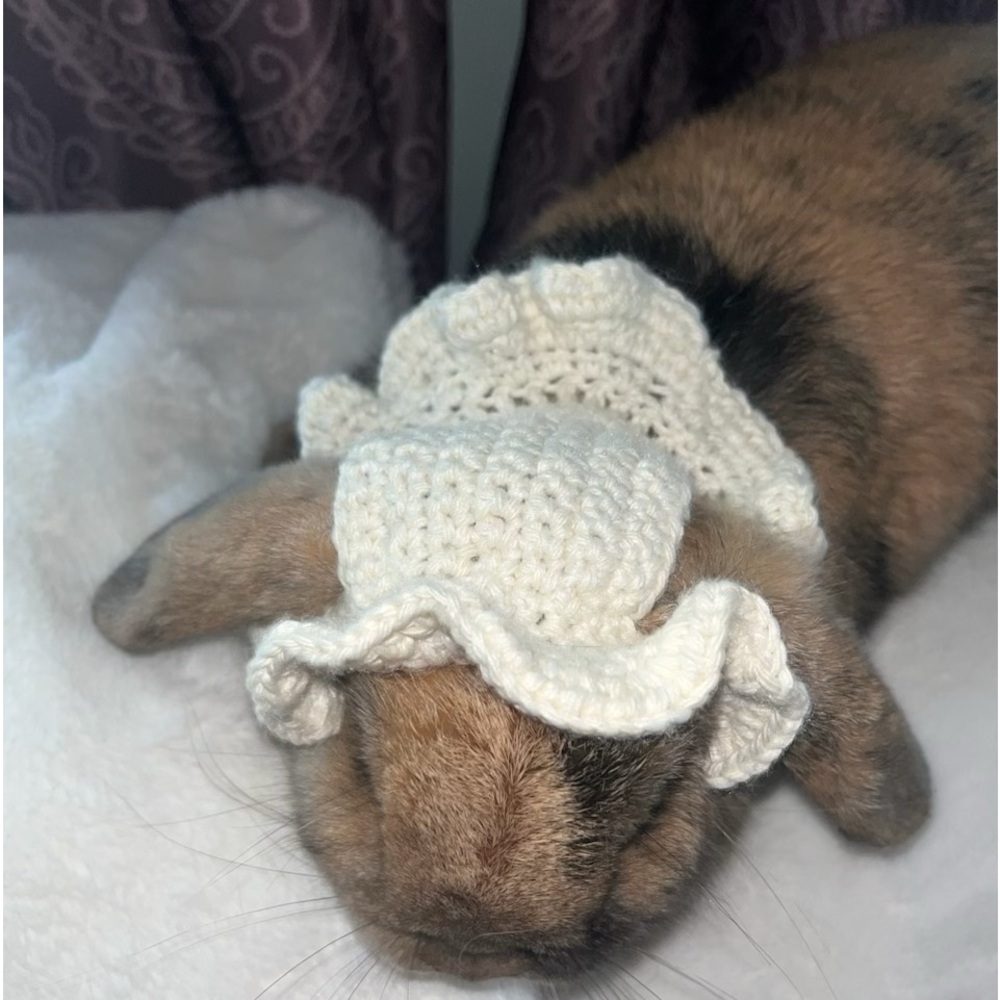 Pet handmade hat. Perfect for bunnies, cats & small dogs.